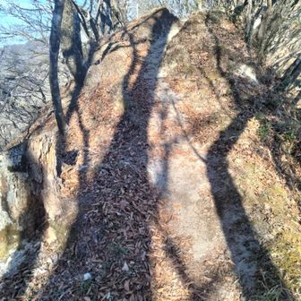 やっぱり最後は急登させるのね😑