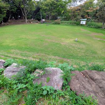本丸を見下ろす😯

二俣城は掛川の高天神城と並んで、静岡県内では徳川vs武田の争奪が繰り広げられた激戦の舞台です⚔️