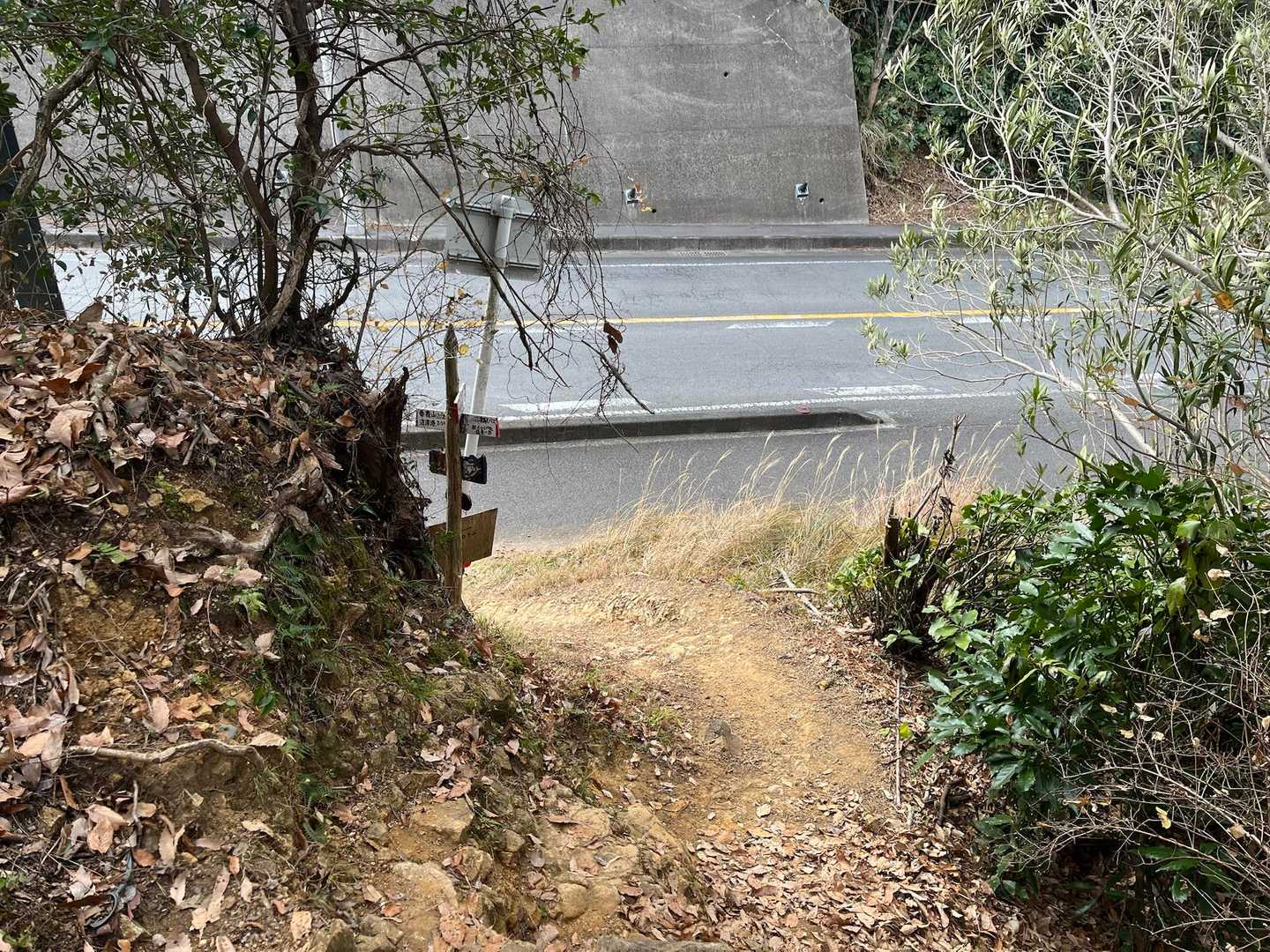 一度道路に出ます