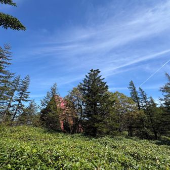 ゴールが見えました✨

天空山歩、稜線歩き、池巡り、ジブリあり、
もしかするとヒュッテの美味しい🍛😋あり…

最初から最後まで
とても良いコースでした🎶