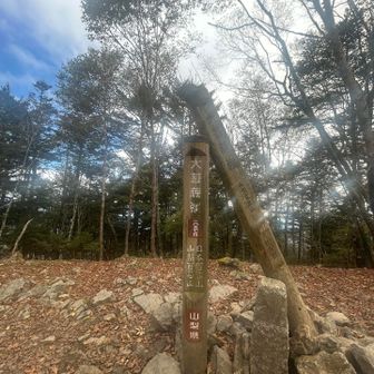 景色は観えないんだね
