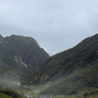 標高を上げていくと、徐々に視界が良くなってきたが、まだ雨。