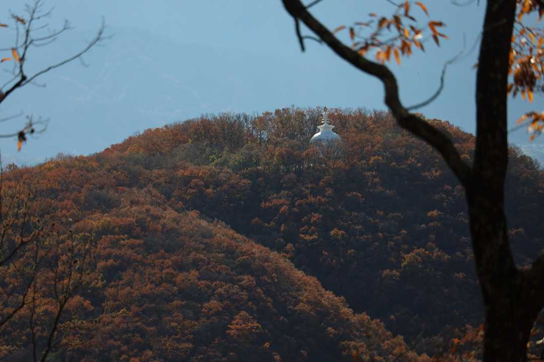 ズームして甲府仏舎利塔