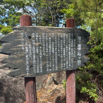 駒ケ林山頂