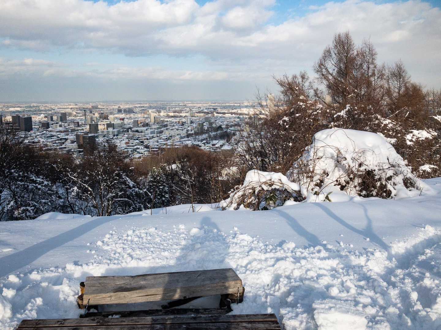 お茶します