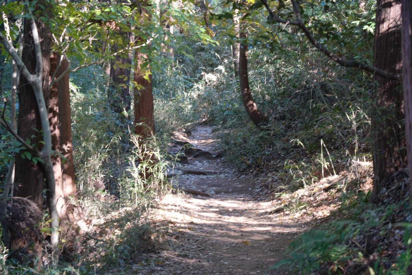少しアップダウンはあるけど危険箇所なし
子ども達も沢山いた