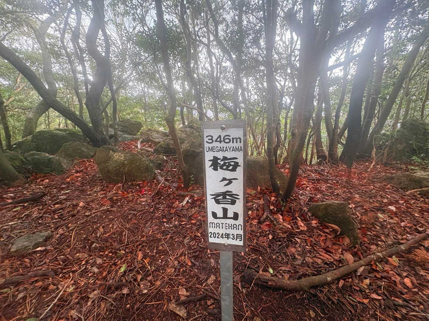 梅ケ香山⛰️346m❗️
　ココも最近peak⛰️になったトコ

尾根道は 快適トレイル🏃‍♀️
見逃すトコだった💦
