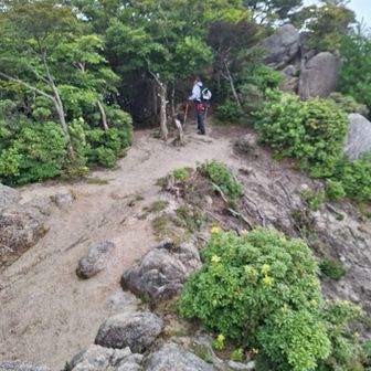 気温25℃
ど暑くはないけど蒸し暑い🥵