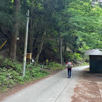 つよゆきさんのリクエストで霊仙山へ💨😁