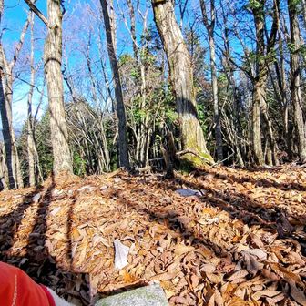 水ヶ峰登頂🚩
三角点タッチ✋️