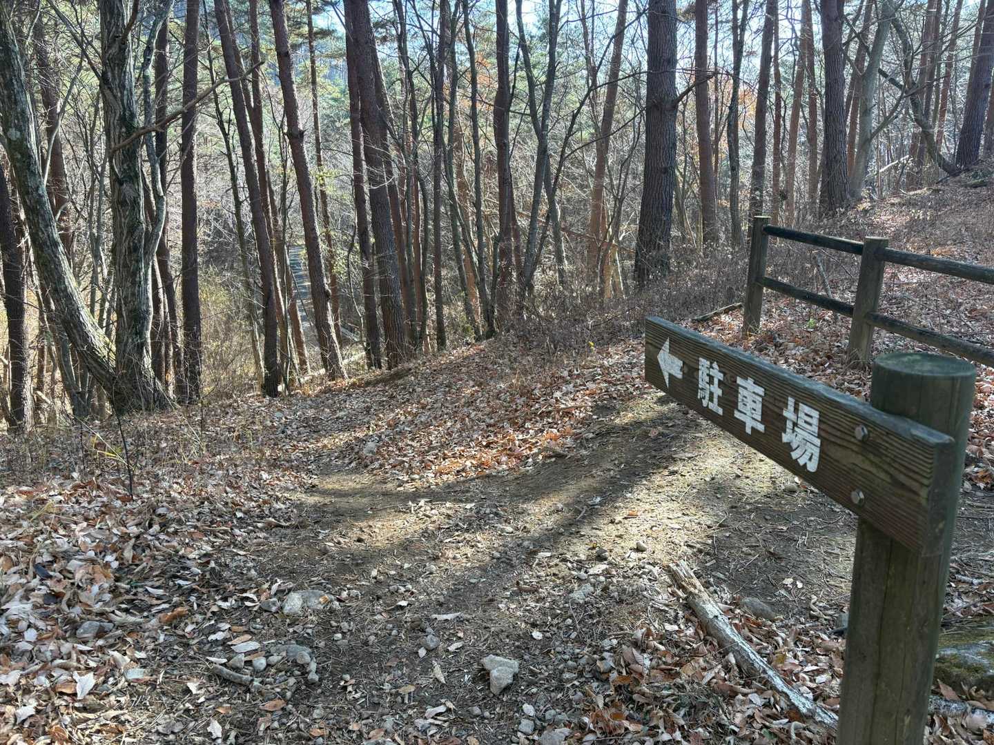 ぐんまちゃん)やっと林道だー！
クシャルダオラ)終わったら温泉行こうぜ！