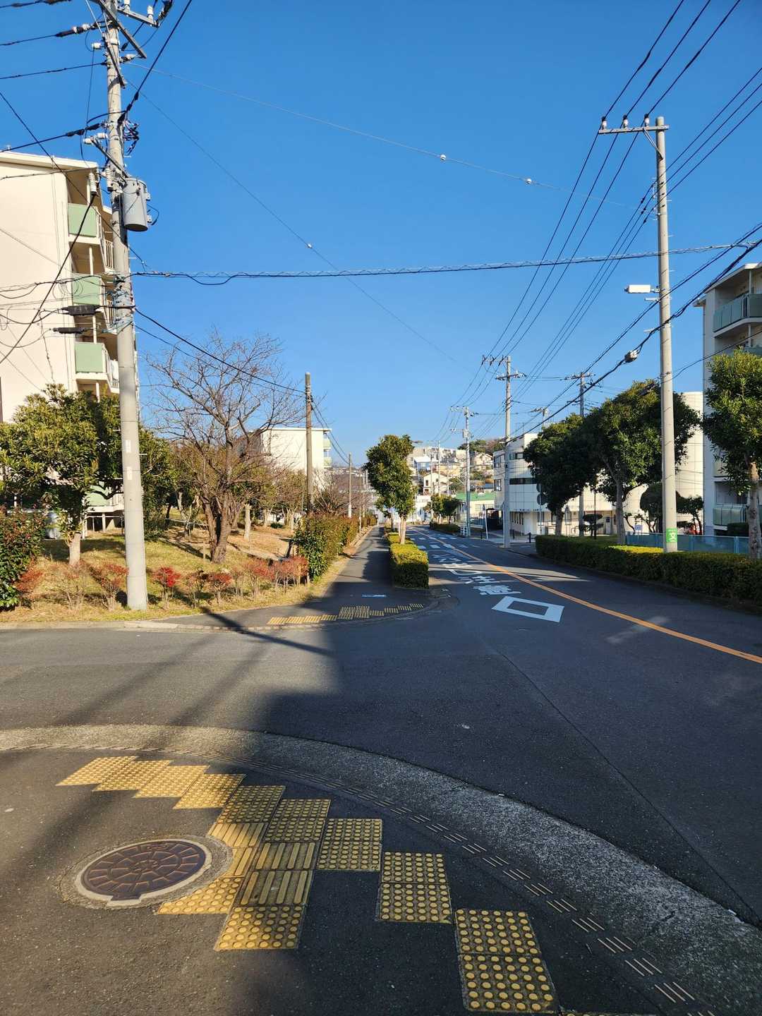 登山道が終ると住宅街を歩いてゴールの駅へ向かいます
今日は半分以上がアス道でした…😅