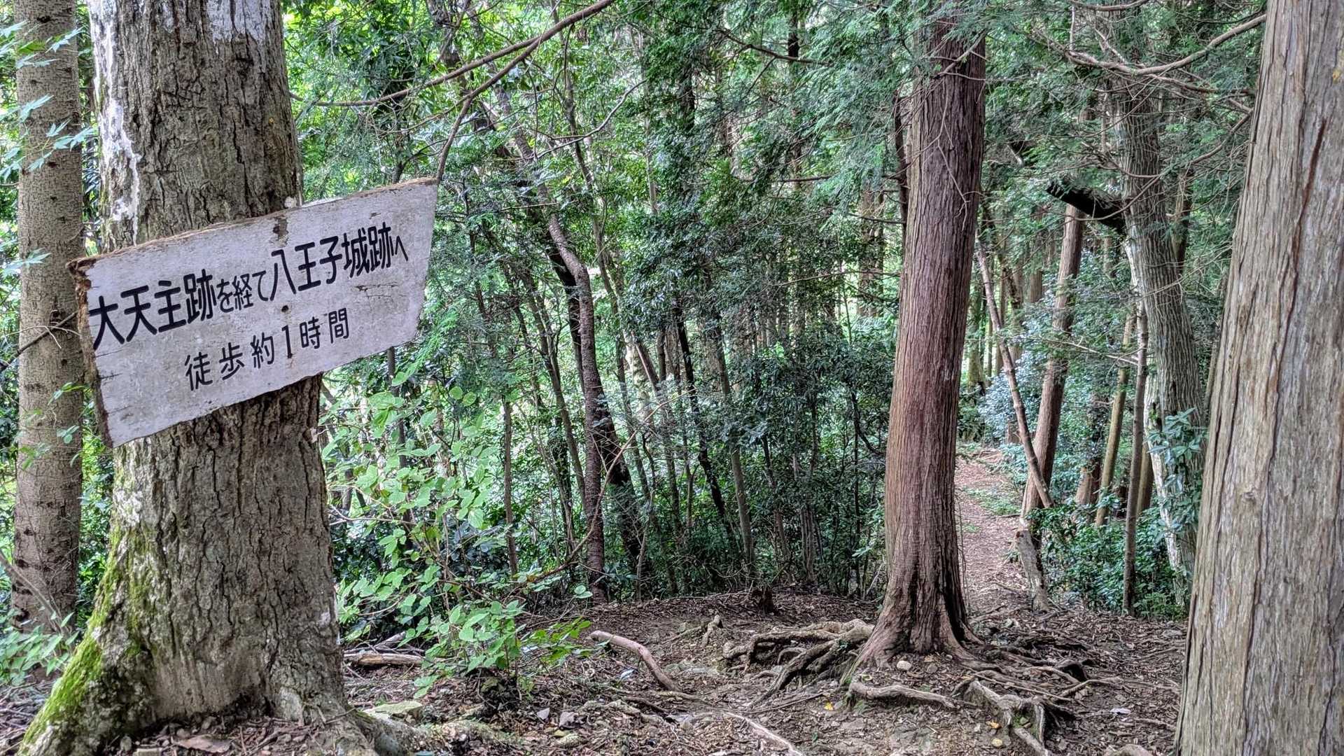 本来は、ここを八王子城趾へ下りますが、、、