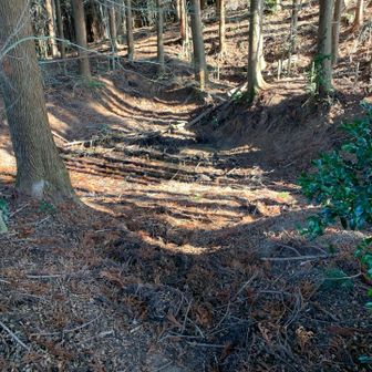 伝説の池を覗きました
少し水があるようです