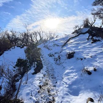 太陽が眩しい☀️