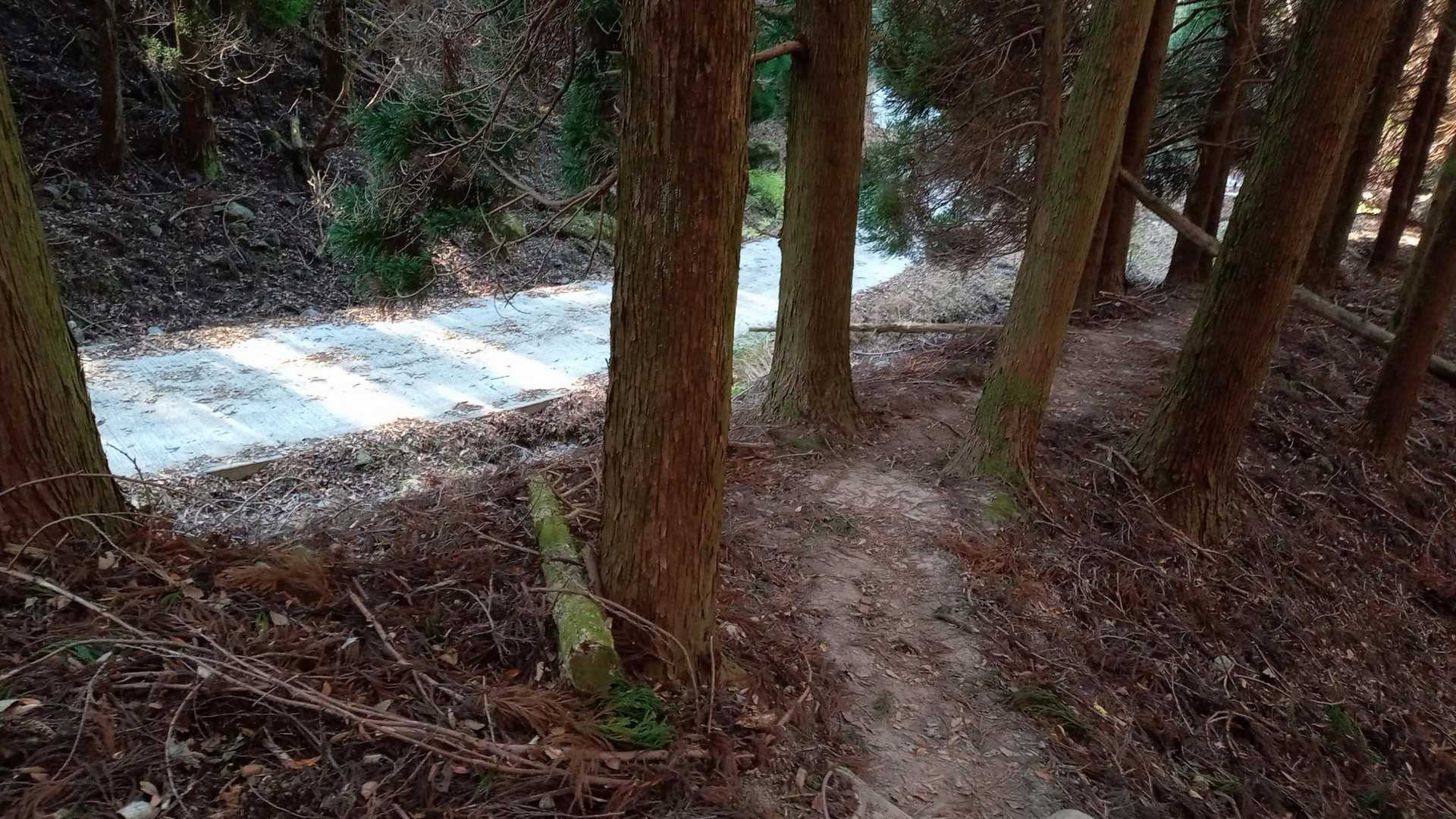 舗装路へ
