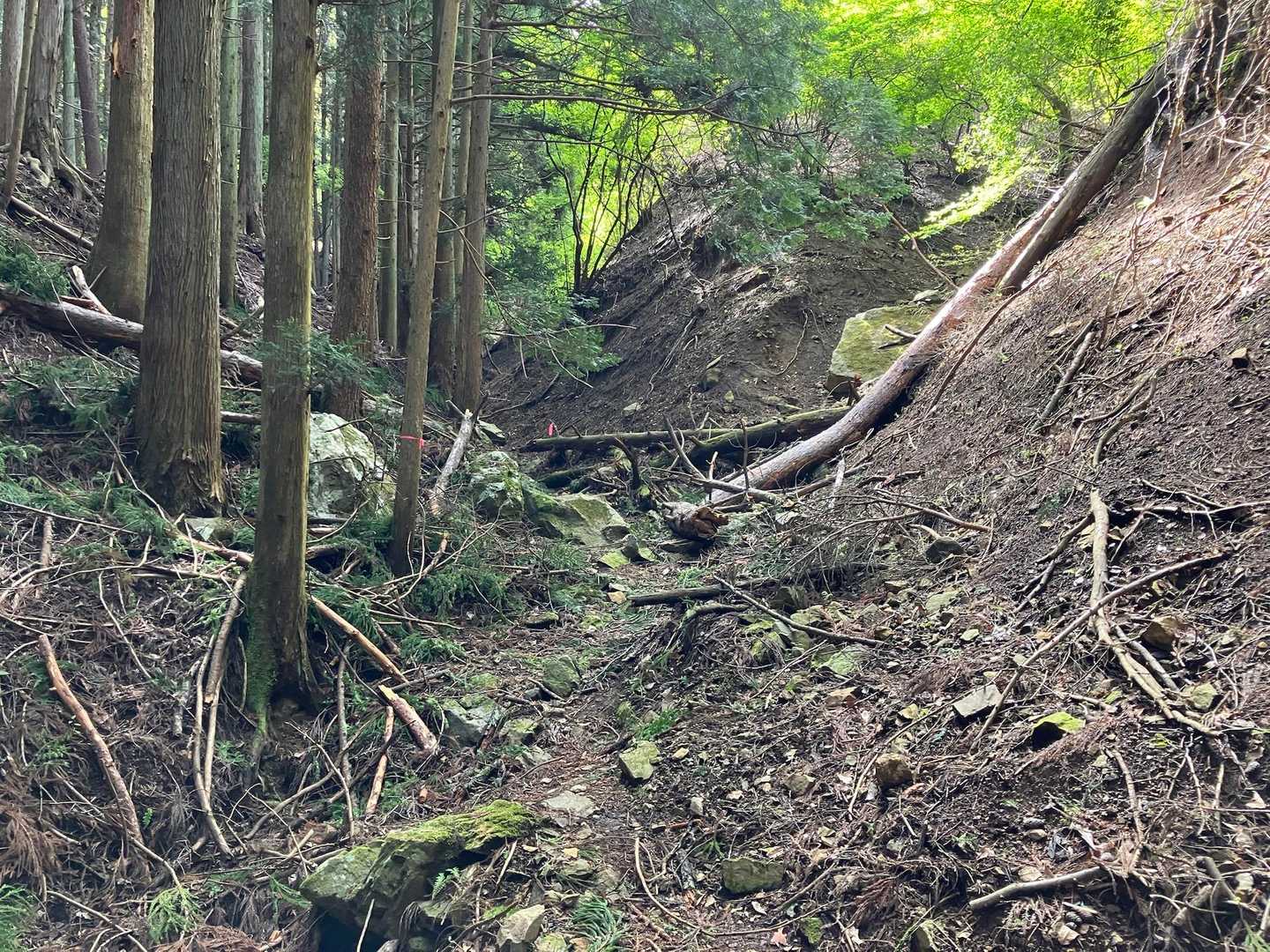 振り返る。土砂が流れた後らしい😅