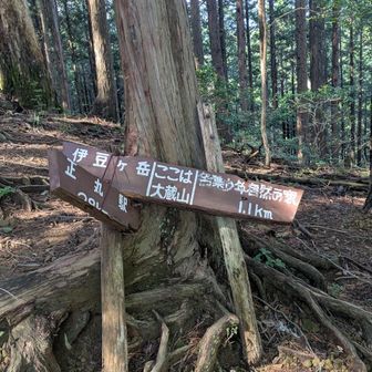 大蔵山は展望無し