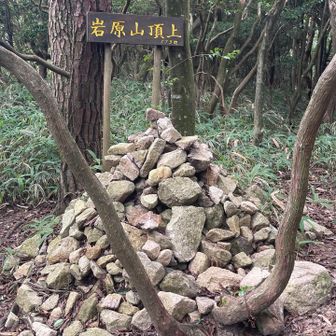 岩原山 🙌宝塚最高峰だって！

がんばって寄ってみたら立派な山名板と来た人たちの証みたいなのがあった、というのが嬉しい☺️