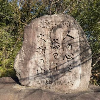 癒されたくなったら来ますね〜
下山完了！
