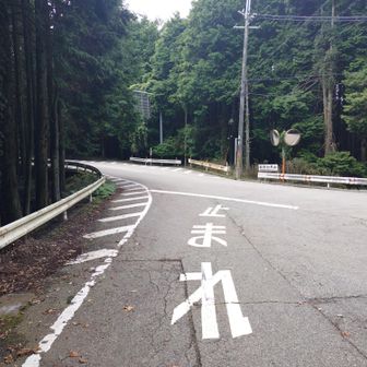 初谷渓谷沿いの道を登り切り
此処から能勢妙見宮へは
おおさか環状自然歩道のルートを
辿って行きます。

先ずはこの先の分岐路で左折します🐇