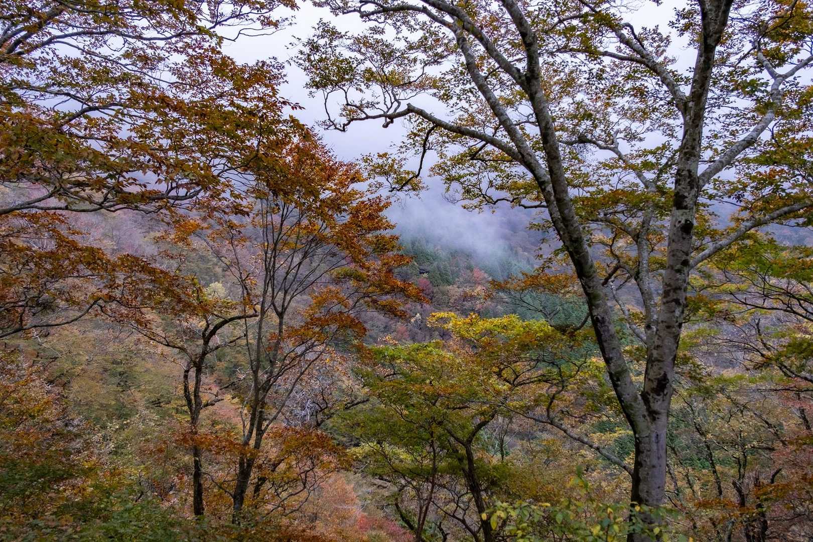 青空が欲しい