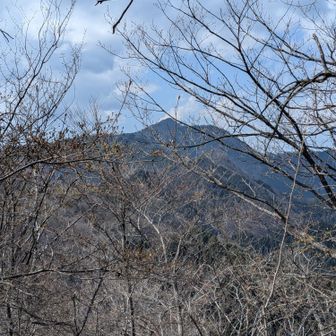馬頭刈山山頂から大岳山を振り返る