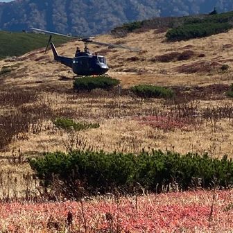 自衛隊のヘリが飛んでました。
何かの訓練🤔