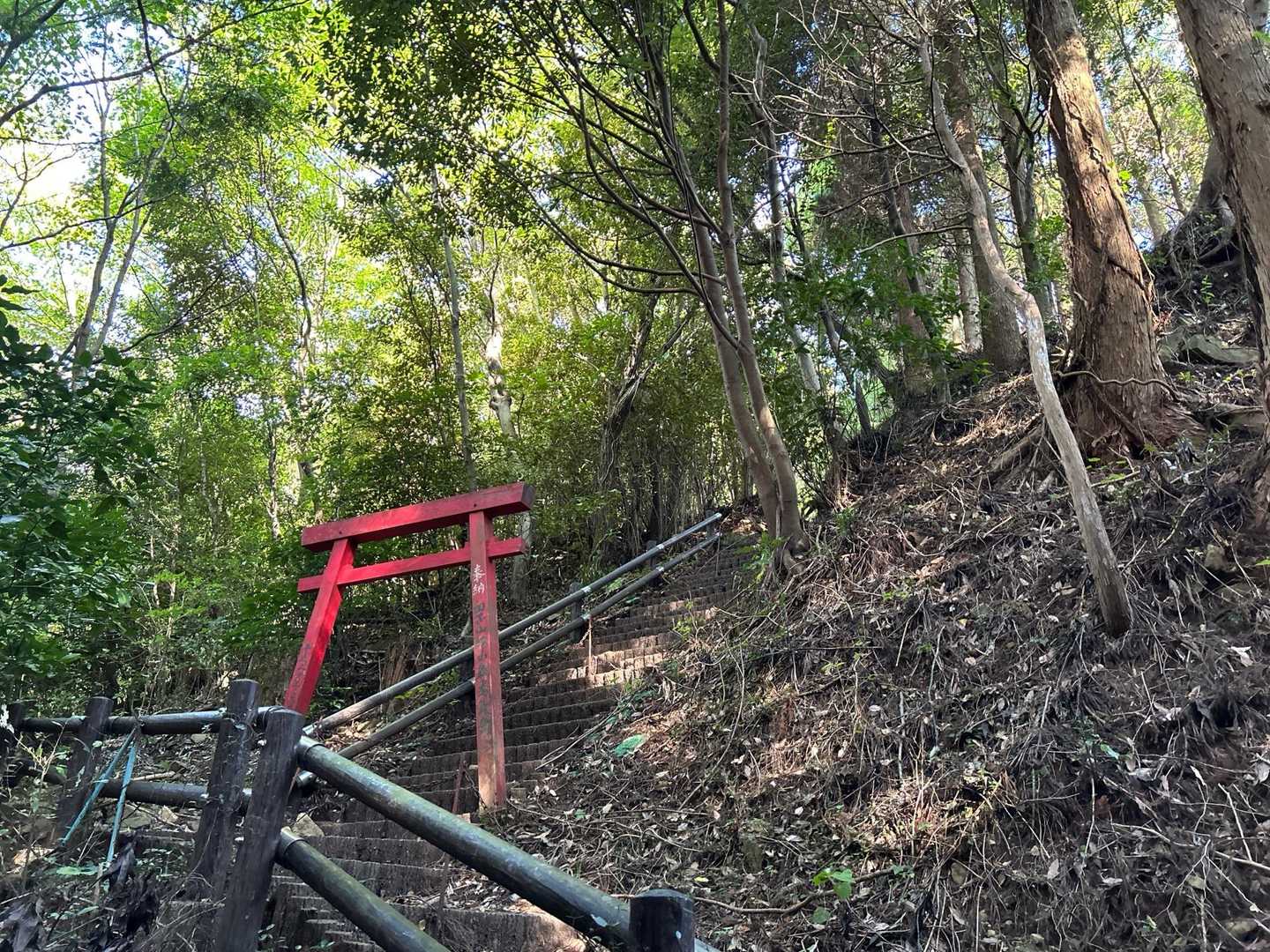 田子山 往復コースの写真