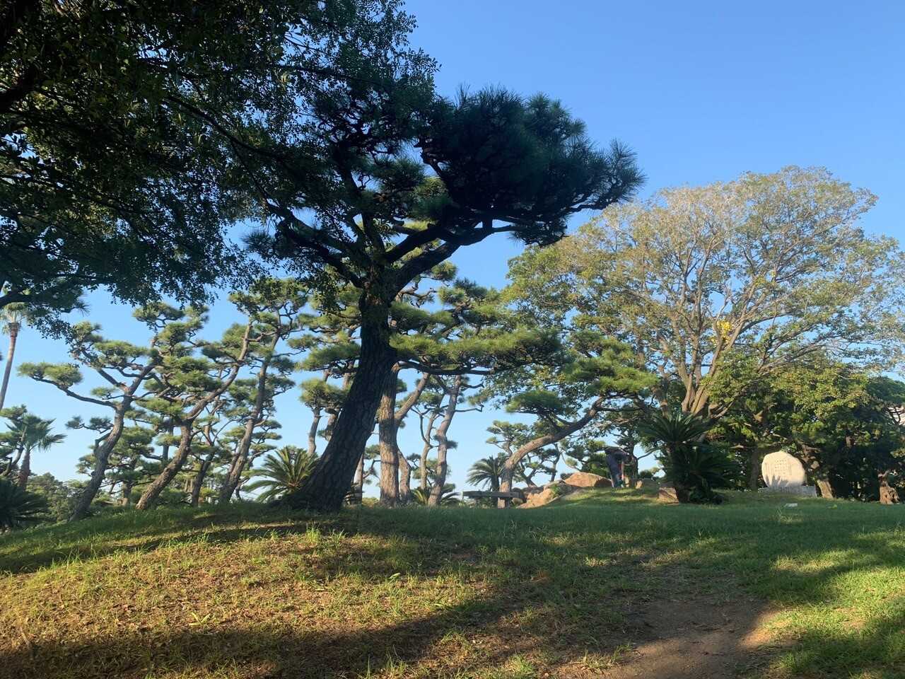 蘇鉄山の写真