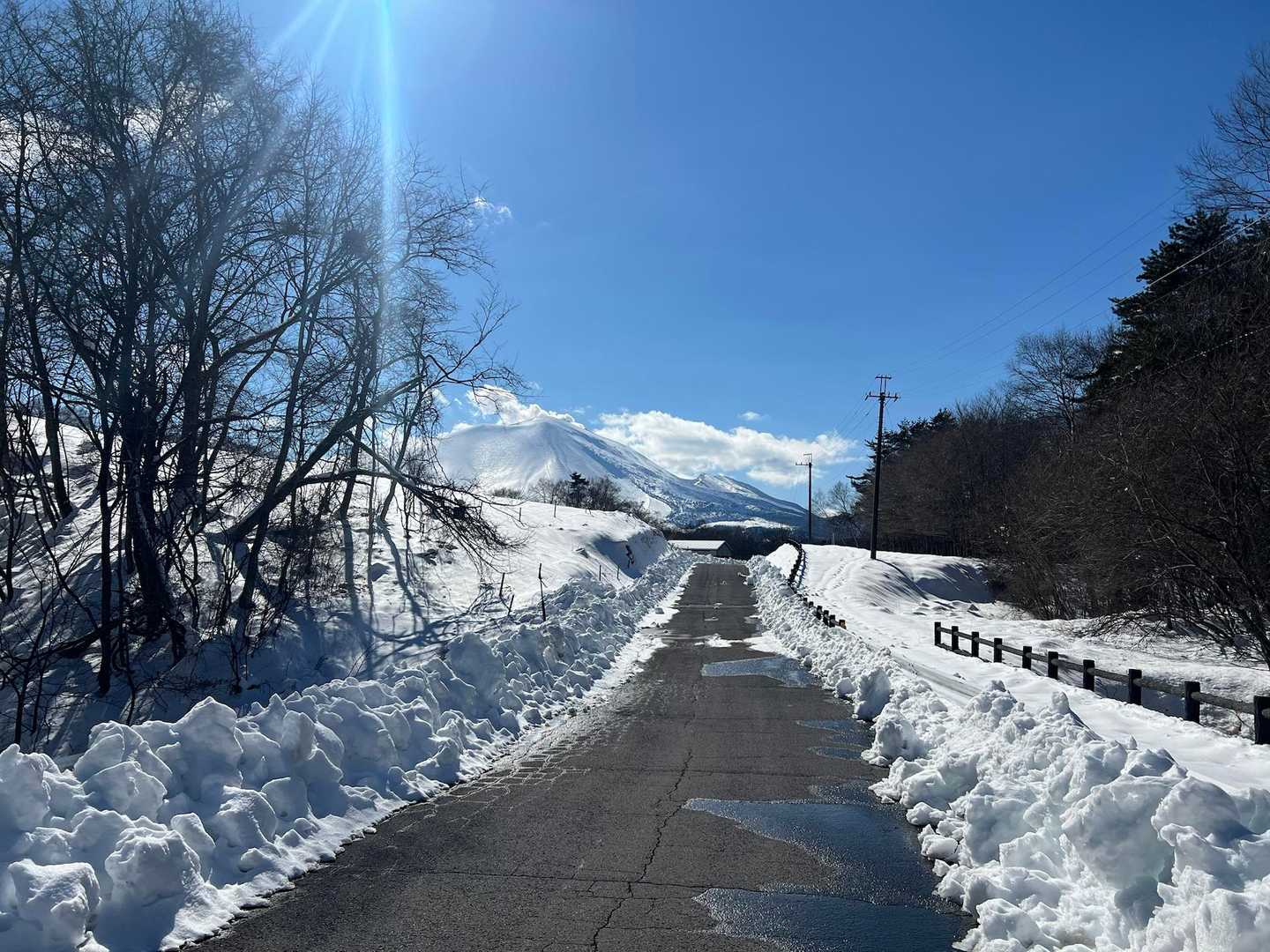 天丸山 往復コースの写真