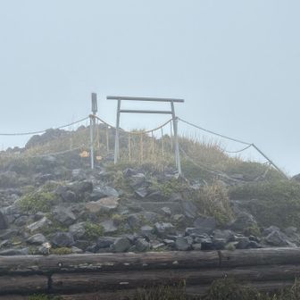 参ってきました