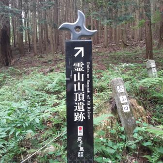 にわか雨の中　森のおかげでぬれずに登山口に下りてきた　