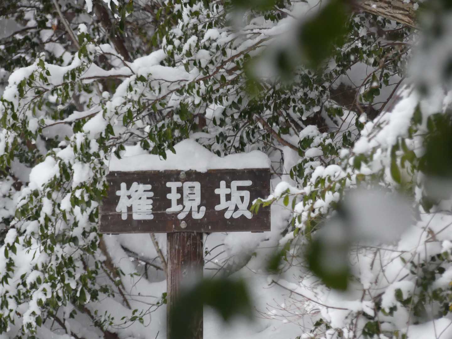 権現坂