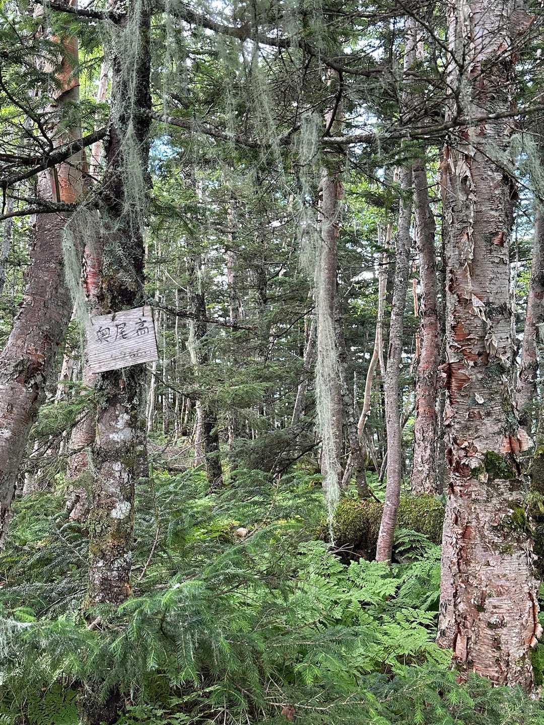 山頂看板🪧２つあるね