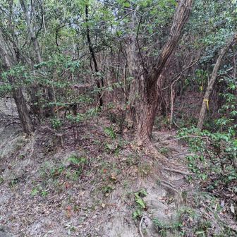 雨山登山口
