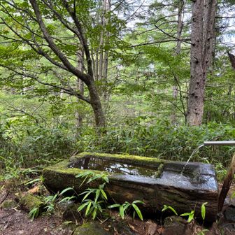 水場　
熱った体をクーリダウン　生き返ったぁ😆