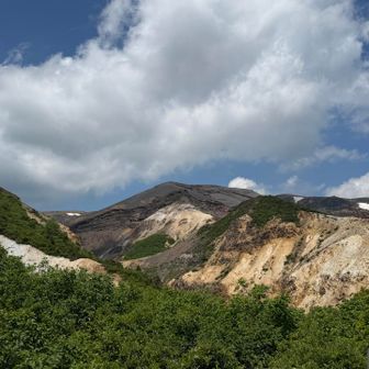 もっと山頂まで車で行くつもりだったけど…歩き始めるハイカー見たらなんかもったいなくて
