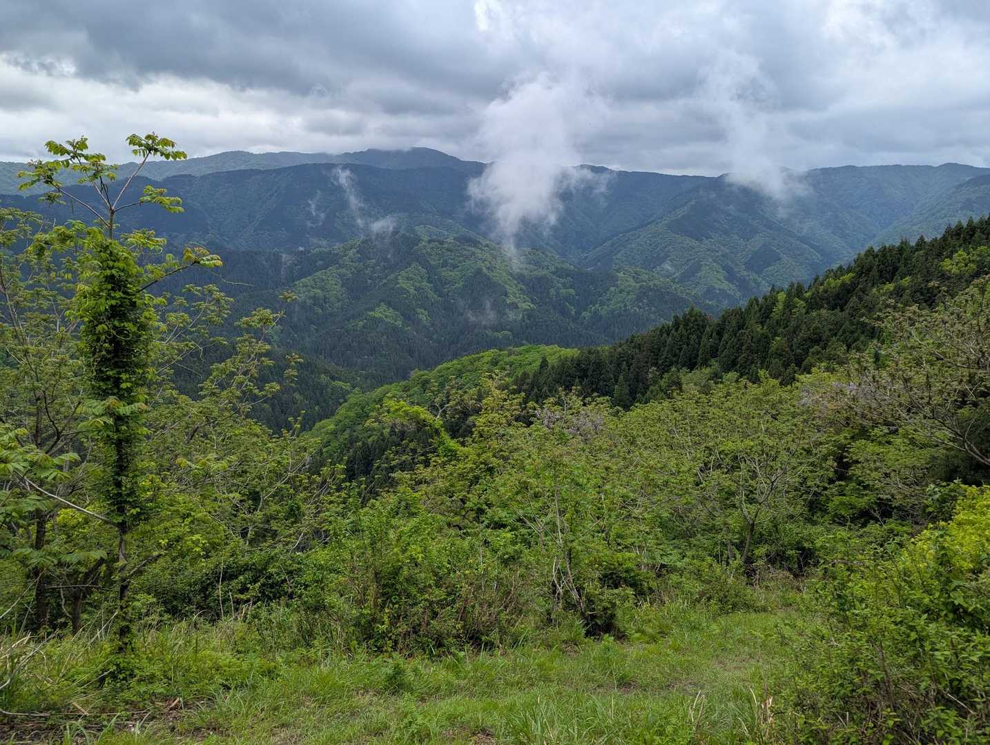 白谷登山口-エコチ谷登山口-鳥越峠-横山岳-横山岳-東尾根 周回コースの写真
