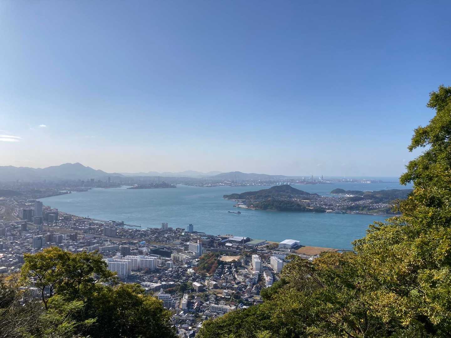 矢筈山 往復コースの写真
