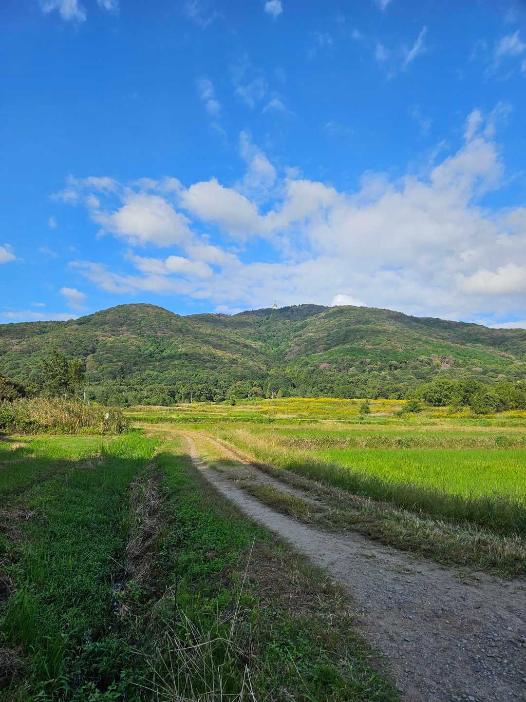 青空と白い雲と山と田んぼ。最高な田舎の風景。いってきまーす！