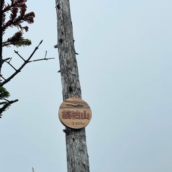 縞枯山標識の存在感のなさよ。
