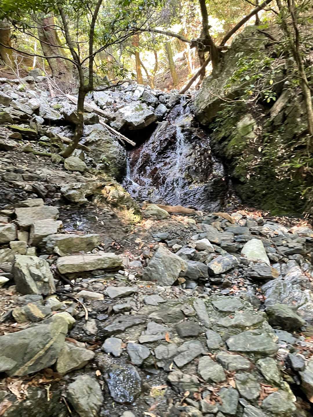 五合目登山口 往復コースの写真