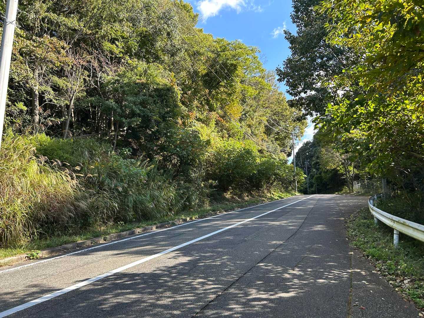 一度車道に出て