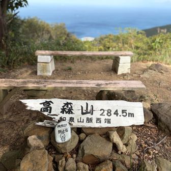 山頂到着❗️
めっちゃええやん〜