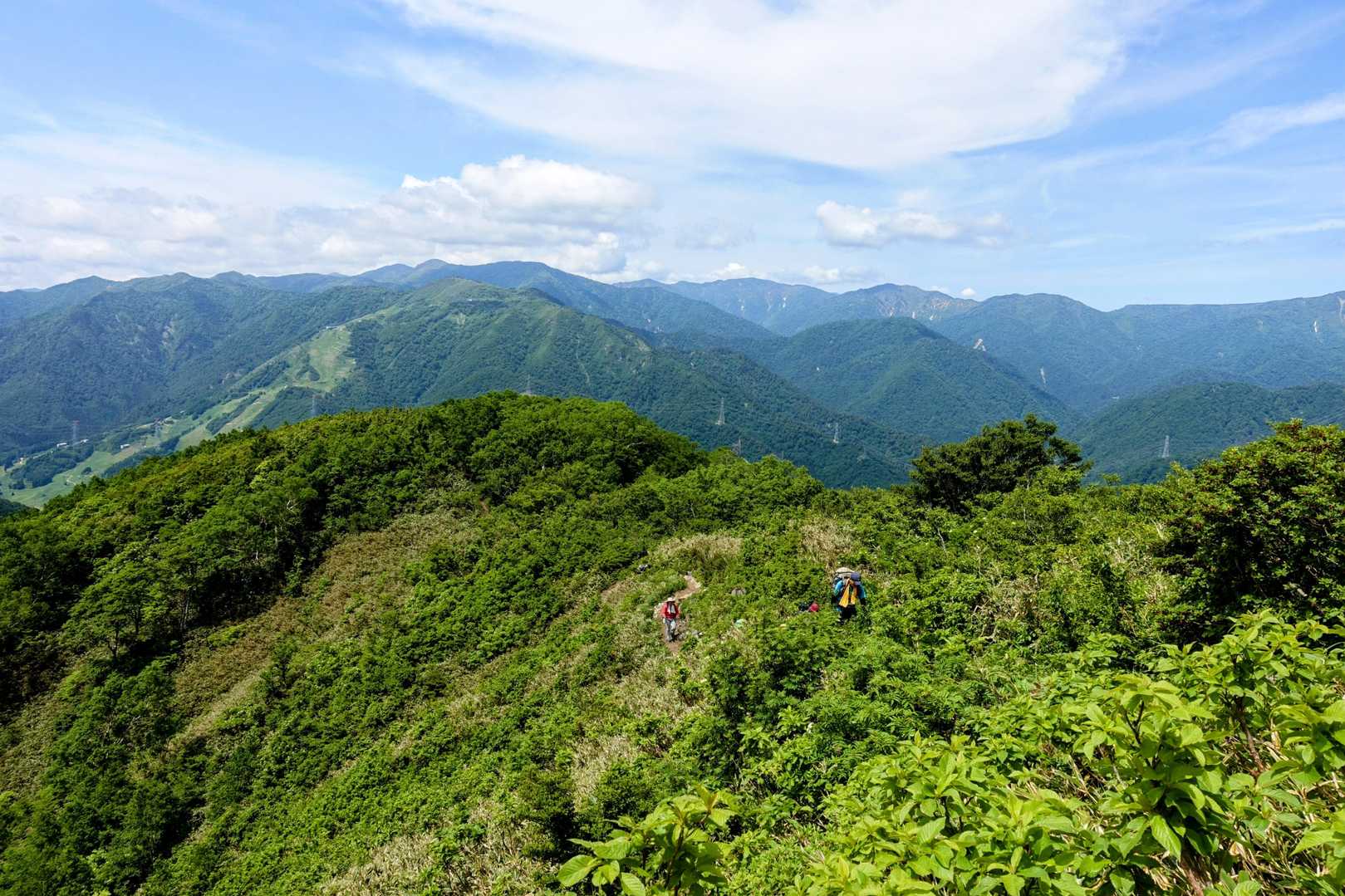 続々登ってきます