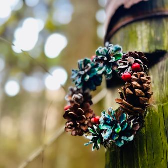 もうすぐクリスマス🎄
一年早いなぁ。