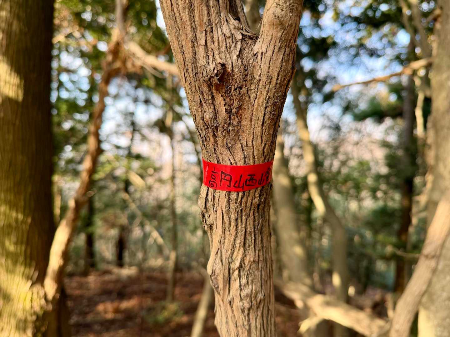 高円山西峰⛰️

山プレートは無い
どなたか作成して頂けると
嬉しいかも⁉️