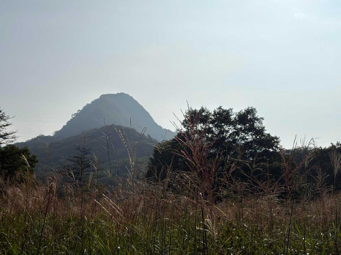 相馬山 ゆうすげの道コースの写真