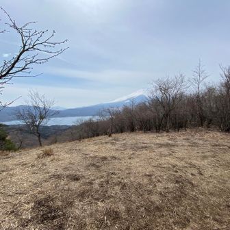 大窪山⛰️てっぺん！
何も見つけられず😕